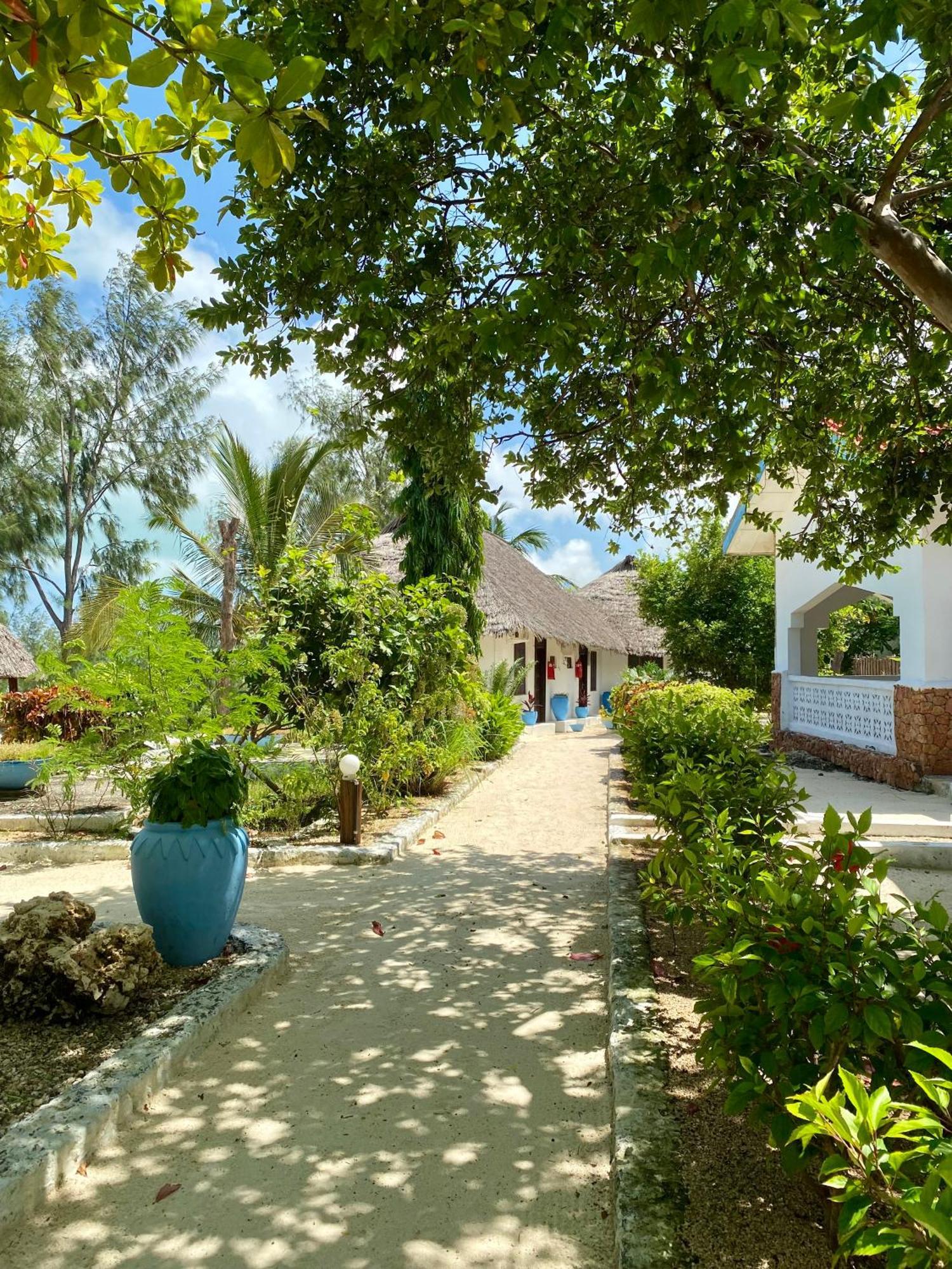 White Star Ocean View Hotel Paje Zewnętrze zdjęcie